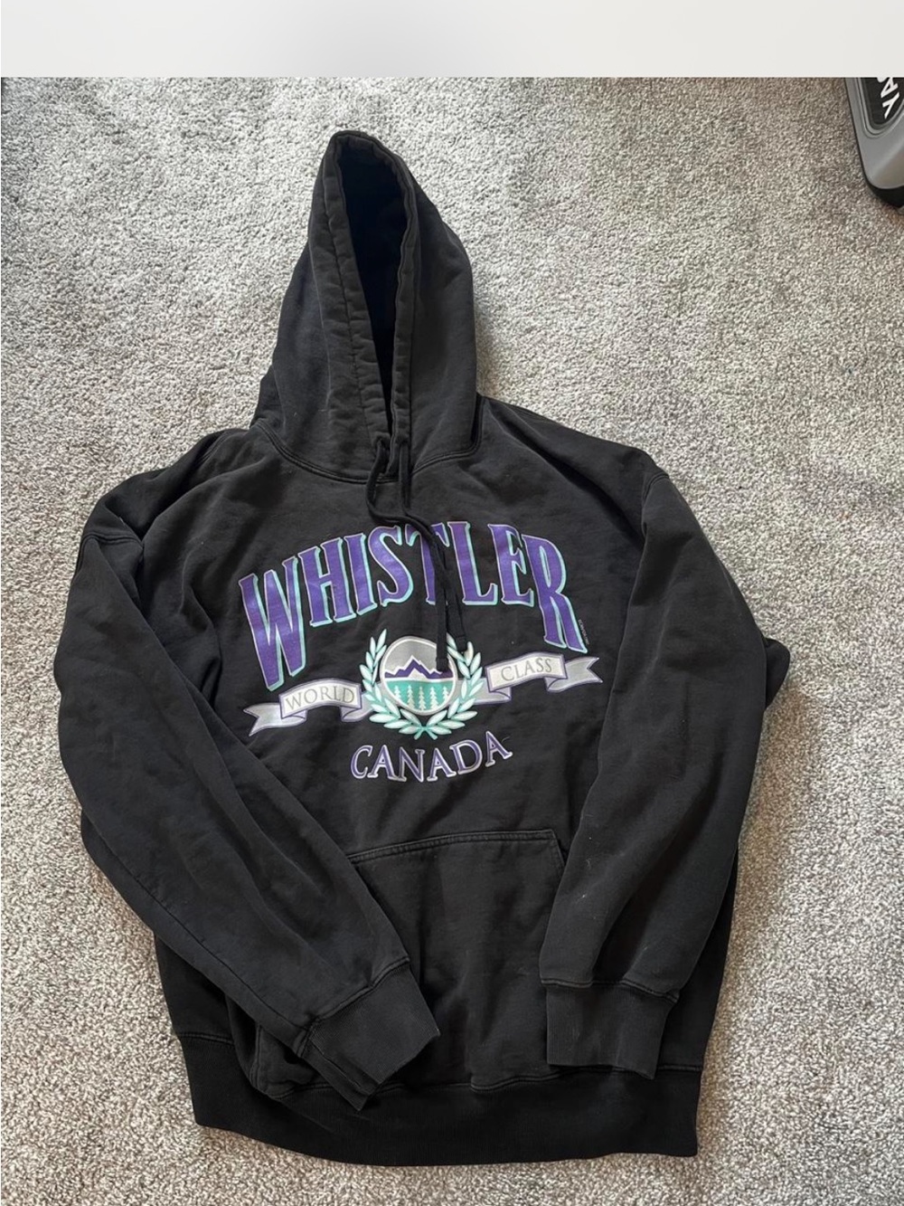 Brandy Melville Black Hoodie with Purple & Teal Whistler Logo